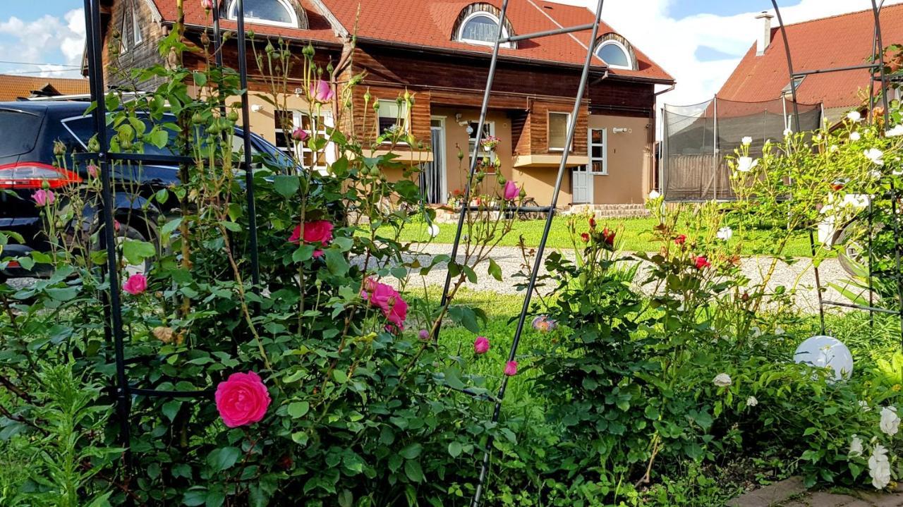 Lend Apartment Miercurea Ciuc Exterior foto
